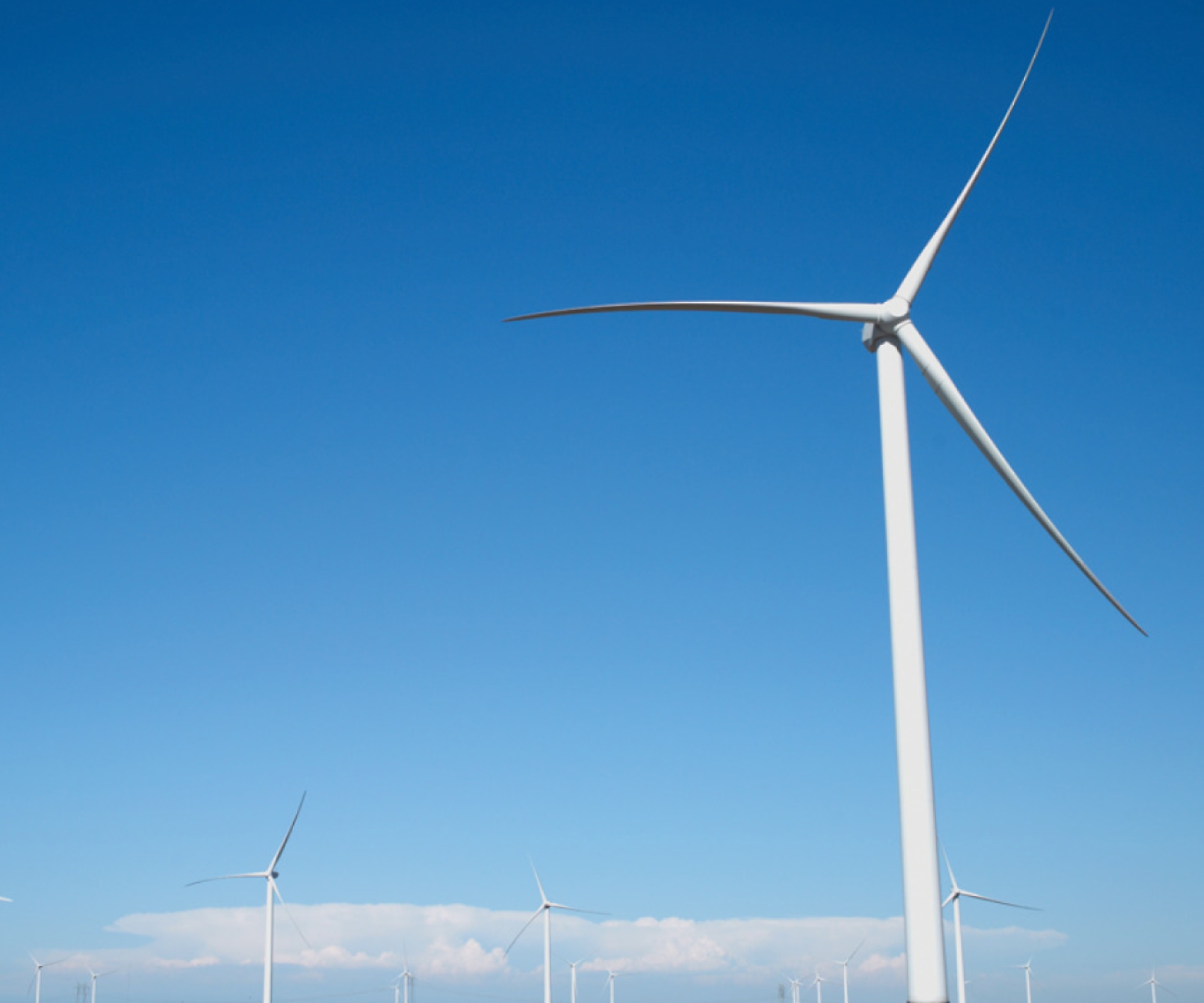 A wind turbine in a field