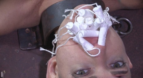 Abigail Dupree high quality model archive