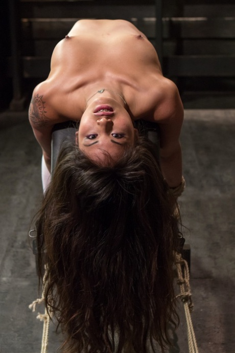 כוס מתחת לחצאית HD תמונות