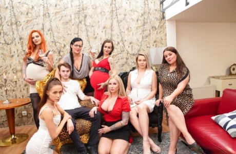 britiske store pupper hete fine arkiv