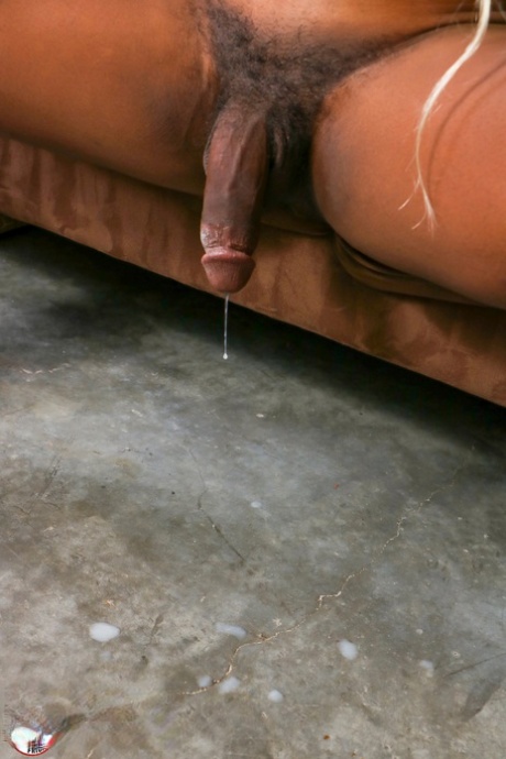 tynd blowjob xxx top kollektion