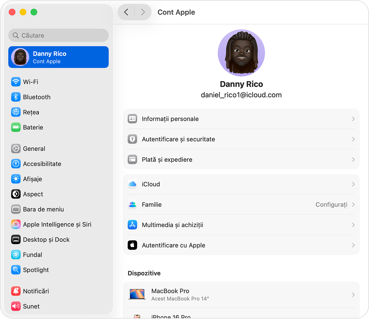 Ecran macOS care afișează pașii pentru configurarea Partajării familiale.