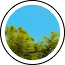 Light 55 Lens and Filter by NAIF ALHARTHI on Snapchat