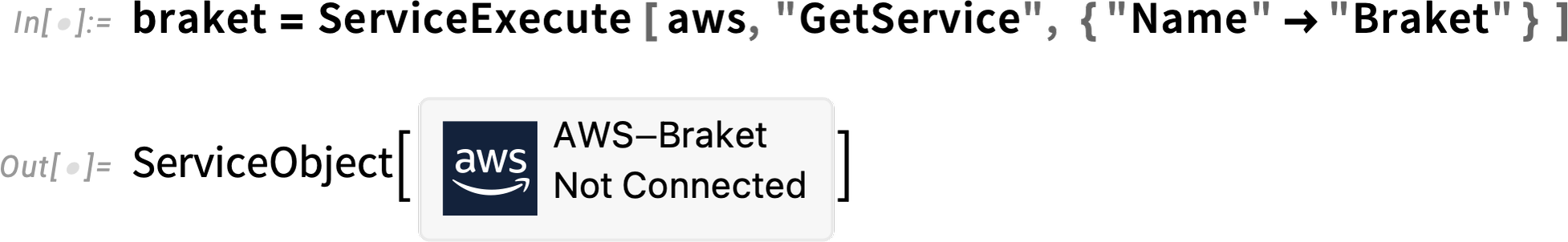 braket = ServiceExecute