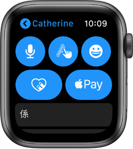 「訊息」畫面,顯示位於右下角的 Apple Pay 按鈕。