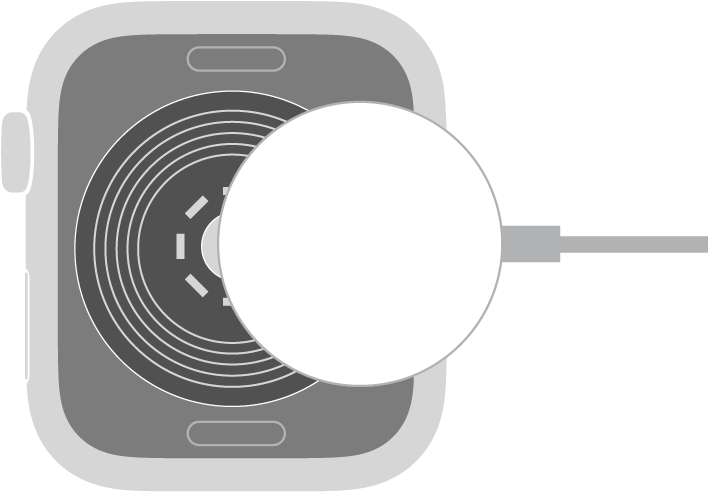 Wklęsła strona końcówki przewodu do ładowania Apple Watch podłączanego magnetycznie łączy się z denkiem Apple Watch za pomocą magnesu.