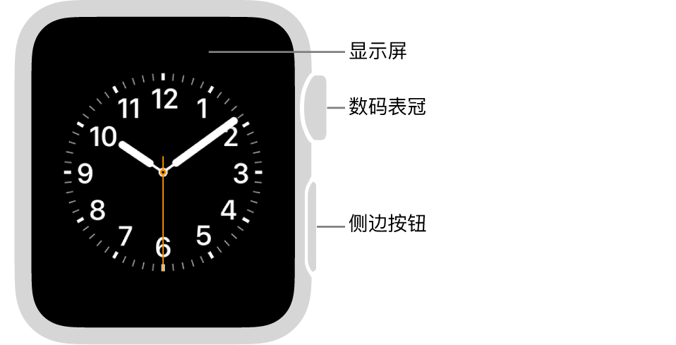 Apple Watch Series 3 的正面,屏幕显示表盘,手表侧边是数码表冠和侧边按钮。