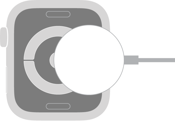 El lado cóncavo del cable de carga magnética para el Apple Watch se acopla a la parte posterior como un imán.