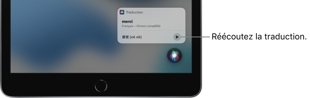 Siri affiche une traduction de l’expression anglaise « thank you » en mandarin. Un bouton situé à droite de la traduction relance l’audio de la traduction.