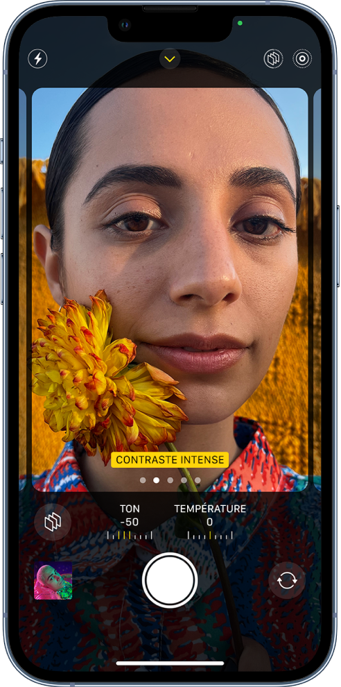 L’appareil photo est ouvert et l’écran affiche l’écran des styles photographiques. Le bouton Flash est situé dans le coin supérieur gauche de l’écran. Le bouton « Commandes de l’appareil photo » se trouve dans la partie supérieure centrale de l’écran et est activé. Les boutons « Live Photo » et « Styles photographiques » se trouvent dans le coin supérieur droit. Remplissant l’écran de l’appareil photo, le style « Contraste intense » est sur le cadre de la caméra. Sous le cadre de l’appareil photo se trouvent le bouton Styles, les curseurs permettant d’ajuster les valeurs Ton et Température, ainsi que le bouton de réinitialisation des styles. En bas de l’écran, de gauche à droite, se trouvent le bouton « Visualiseur de photos et vidéos », le bouton « Prendre une photo » et le bouton « Sélecteur de caméra - face arrière ».