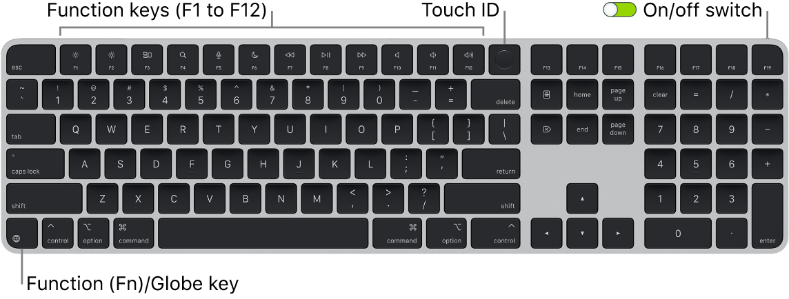 The Magic Keyboard with Touch ID and Numeric Keypad showing the row of function keys and Touch ID across the top, and the Function (Fn)/Globe key on the bottom left.