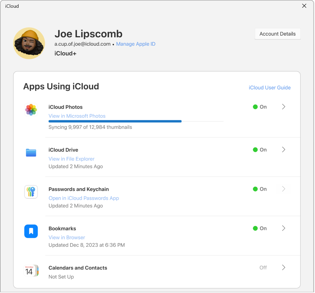 L’app iCloud per Windows con segni di spunta accanto alle funzioni di iCloud.