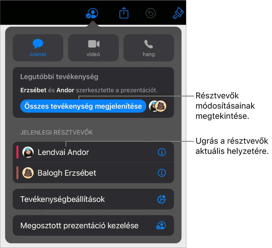 Az együttműködési menü a jelenlegi résztvevőkkel.