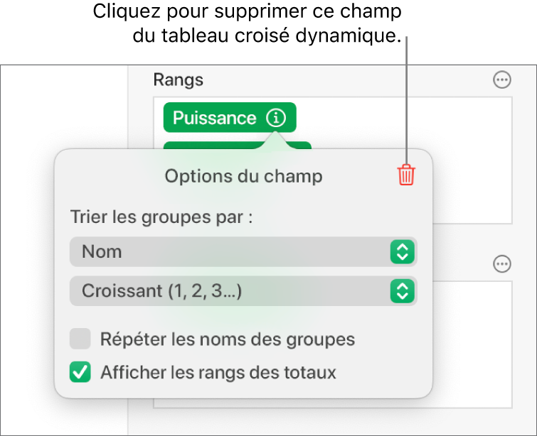 Le menu « Options du champ » affichant les commandes permettant de regrouper et de trier les données, ainsi que l’option de suppression d’un champ.
