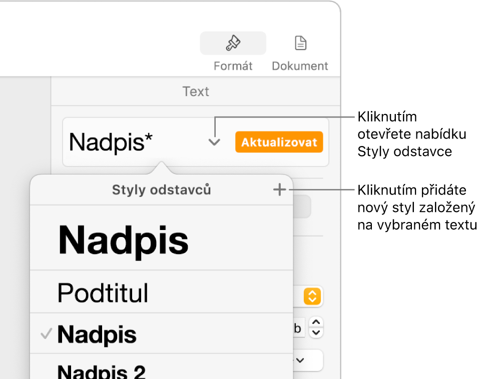 Nabídka Styly odstavců s ovládacími prvky pro přidání nebo změnu stylu