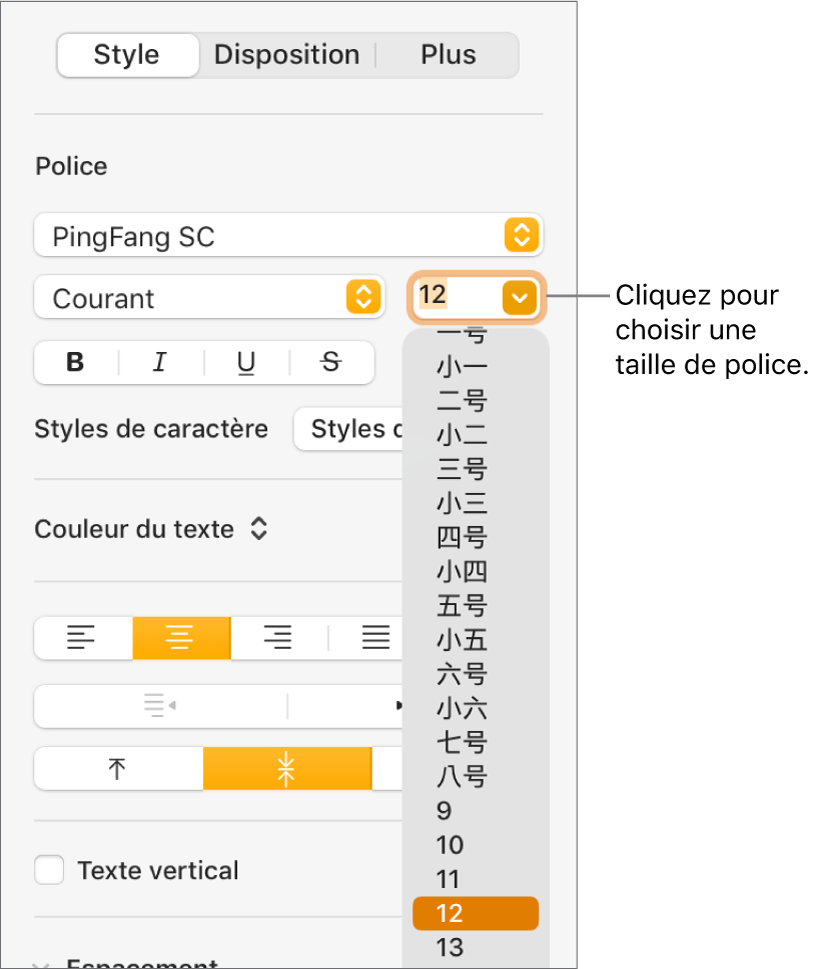 Section Style de la barre latérale Format avec le menu local relatif aux tailles de police ouvert. Les tailles de police standard établies par le gouvernement de la Chine continentale apparaissent en haut du menu local, et les tailles des points s’affichent en dessous.
