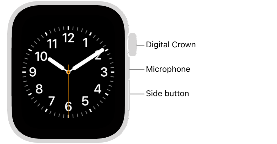 The front of Apple Watch (2nd Generation), with the display showing the watch face, and the Digital Crown, microphone, and side button from top to bottom on the side of the watch.