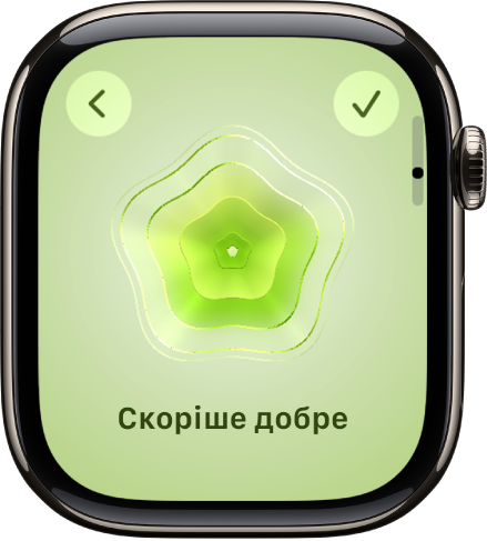 У програмі «Усвідомленість» показано стан настрою.