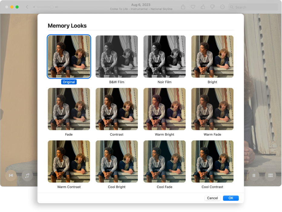 The Photos window showing looks that you can apply to the items in a memory.