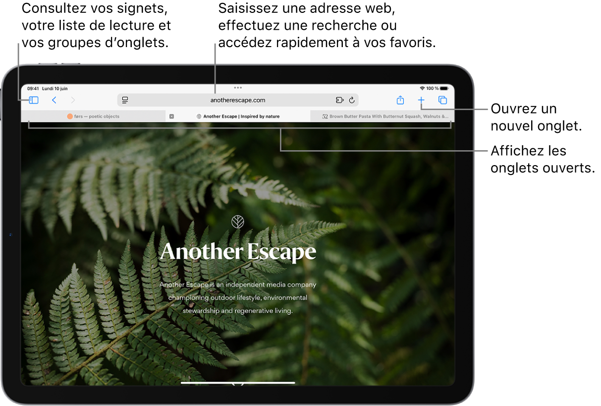 Une page web ouverte. Dans la partie supérieure, de gauche à droite, se trouvent le bouton Barre latérale, le titre du groupe d’onglets actuellement ouvert, les boutons Précédent et Suivant, le champ de recherche, le bouton Partager, le bouton Nouvel onglet et le bouton Aperçu des onglets.