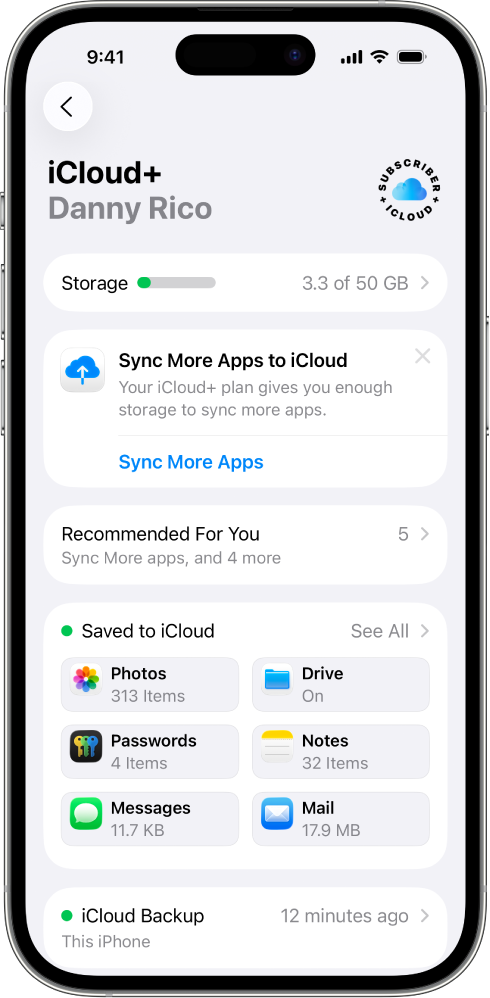 Der Bildschirm „Einstellungen“ mit aktivierten iCloud-Funktionen.