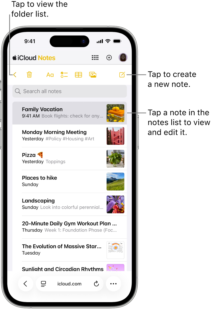 Eine offene Notizenliste auf iCloud.com auf einem Telefon.