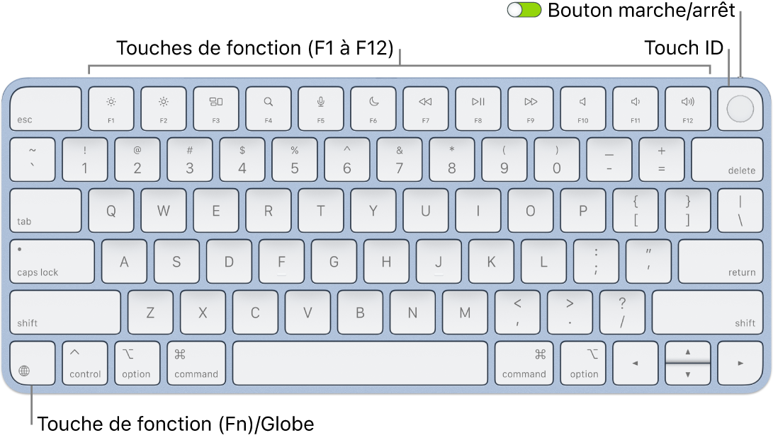 Le Magic Keyboard avec Touch ID affichant le rang des touches de fonction et le capteur Touch ID en haut, ainsi que la touche Fonction (Fn)/Globe dans le coin inférieur gauche.