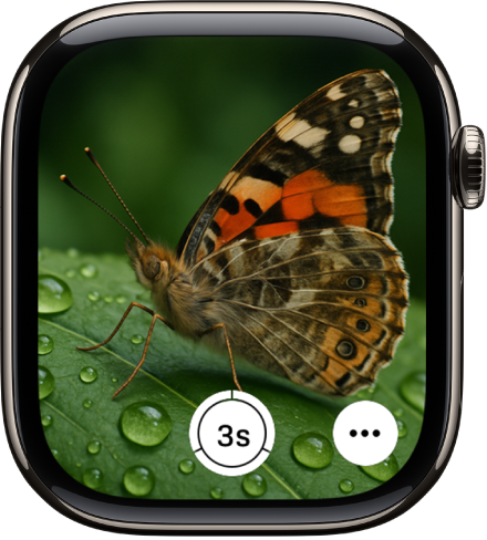 Στην οθόνη του Apple Watch εμφανίζεται η προβολή της κάμερας του iPhone. Το κουμπί κλείστρου βρίσκεται κάτω στο κέντρο. Το κουμπί «Περισσότερες επιλογές» εμφανίζεται κάτω δεξιά.