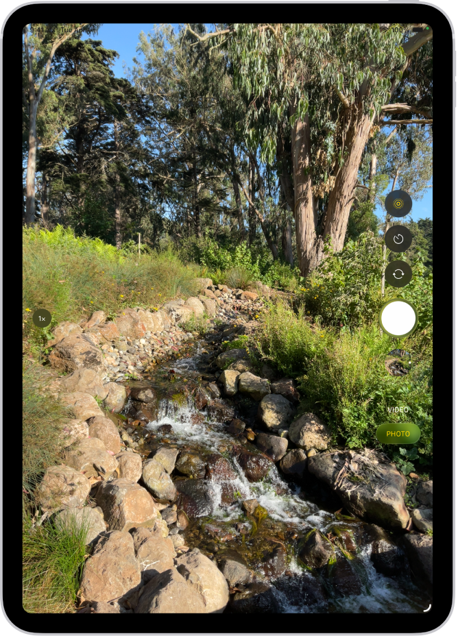 الكاميرا مفتوحة في نمط صورة.