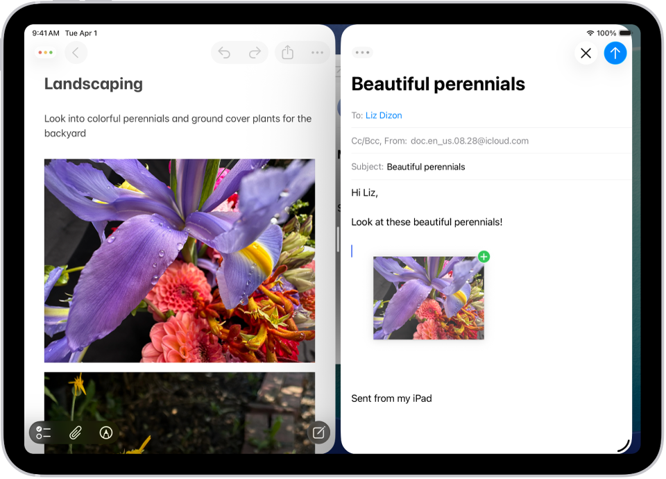 العمل في عدة تطبيقات مفتوحة جنبًا إلى جنب في الوقت نفسه. تطبيق الملاحظات مفتوح على اليمين وبريد إلكتروني مفتوح على اليسار. يتم سحب صورة من الملاحظات إلى البريد الإلكتروني.