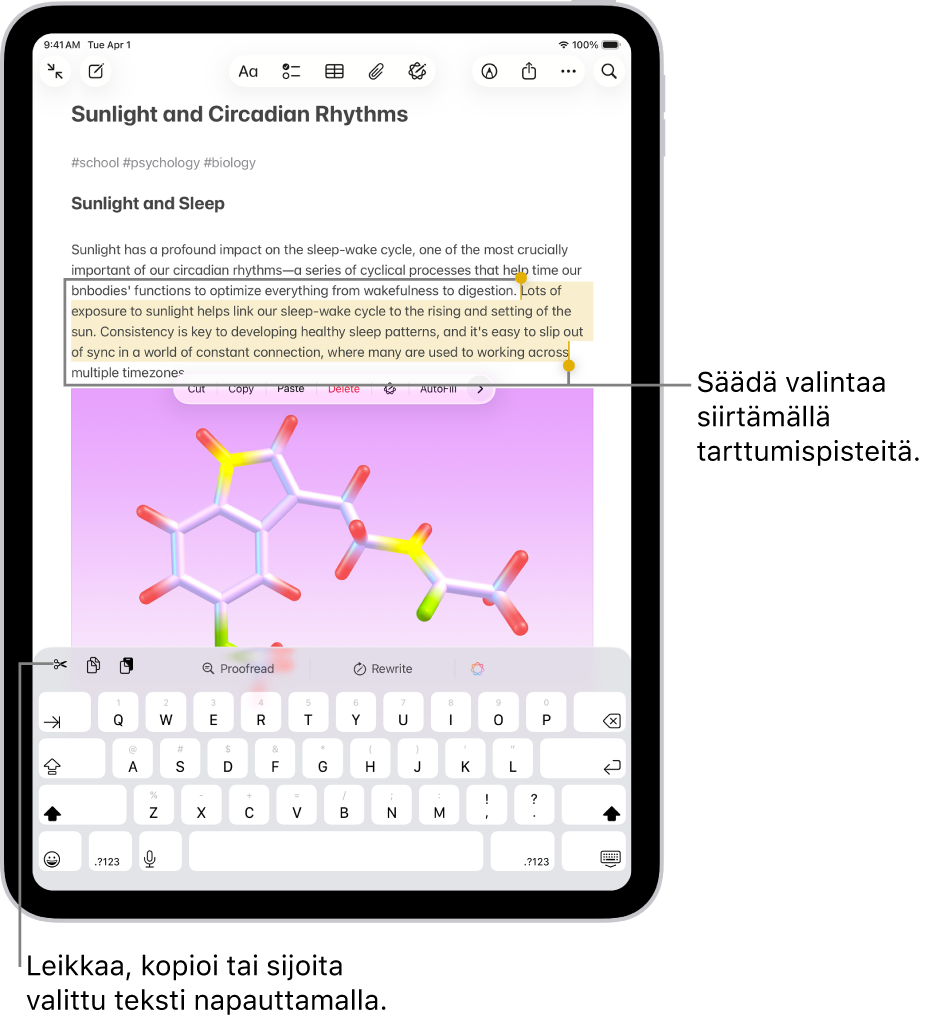 Teksti on valittuna Muistiinpanot-apin muistiinpanossa. Valitun tekstin yläpuolella on painikevalikko, jossa on vaihtoehdot Leikkaa, Kopioi ja Sijoita. Valittu teksti on korostettuna ja valintaa voi muuttaa molempien päiden tarttumispisteistä.