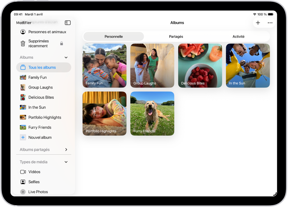 L’app Photos est ouverte sur Albums. L'album Personnel est sélectionné. Le reste de l’écran de l’iPad affiche des vignettes pour les albums dans une grille.