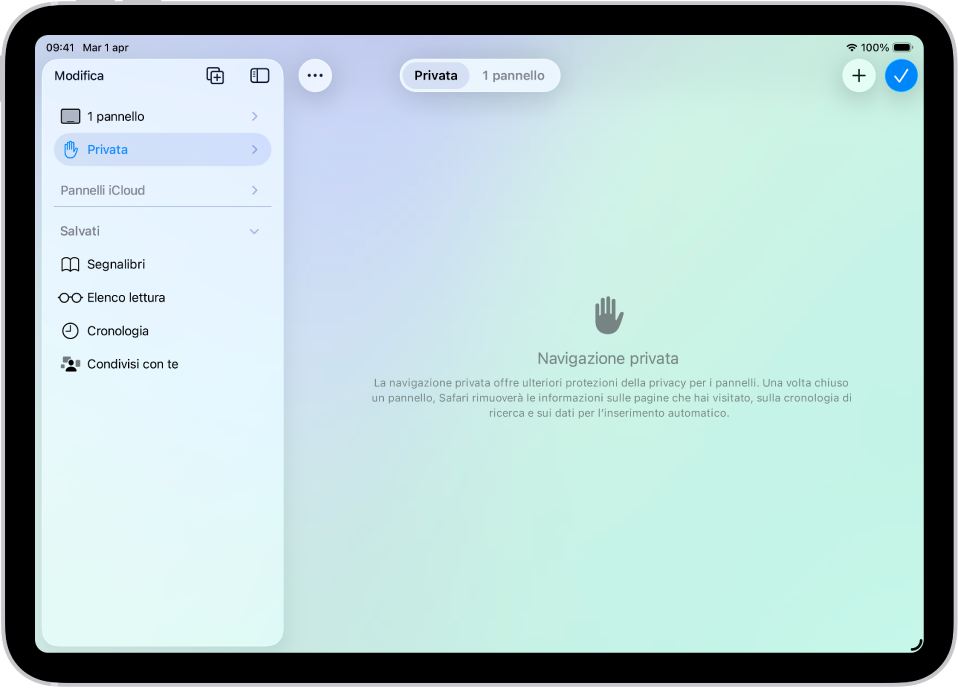 La barra laterale di Safari sul lato sinistro della finestra di Safari è aperta con l’opzione Privata selezionata. Sulla destra è visualizzata un messaggio che spiega che Safari non ricorderà la cronologia di navigazione.