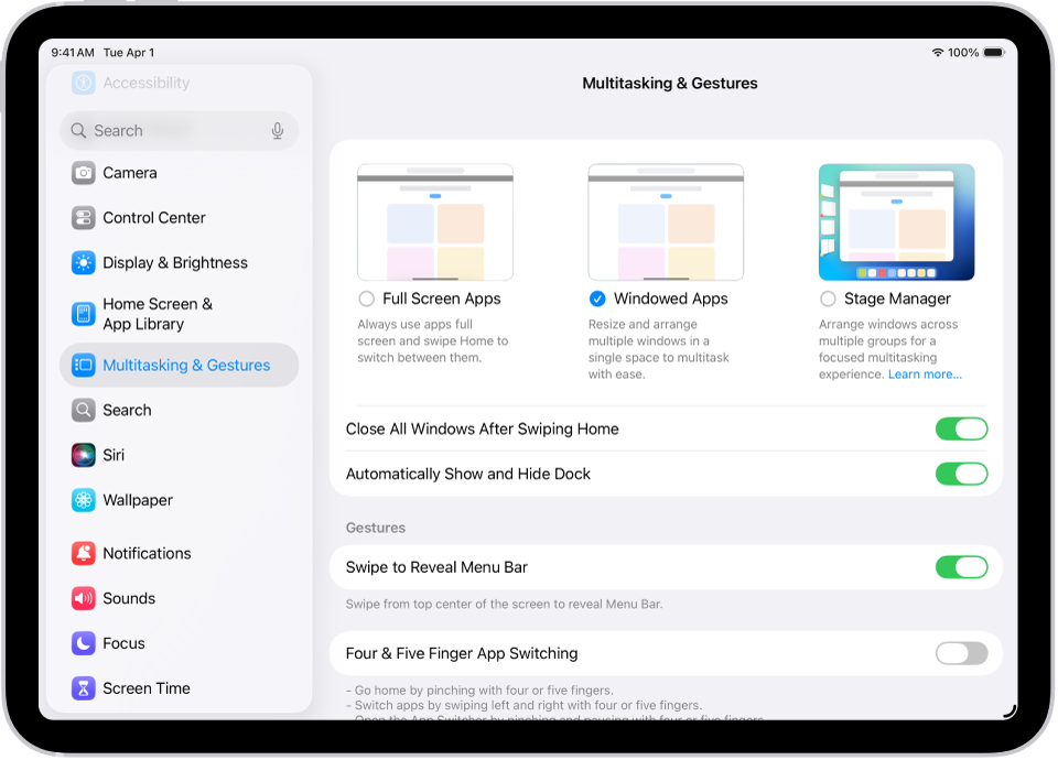 ಮಲ್ಟಿಟಾಸ್ಕಿಂಗ್ ಮತ್ತು ಜೆಸ್ಚರ್ಗಳ ಸೆಟ್ಟಿಂಗ್ಸ್ ಅನ್ನು ತೋರಿಸುತ್ತಿರುವ iPad ವಿಂಡೋ.