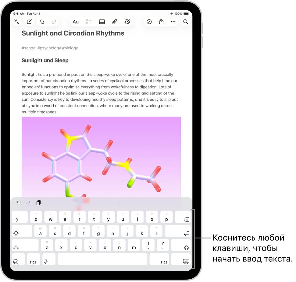 В приложении «Заметки» открыт документ. В нижней половине экрана отображается экранная клавиатура.