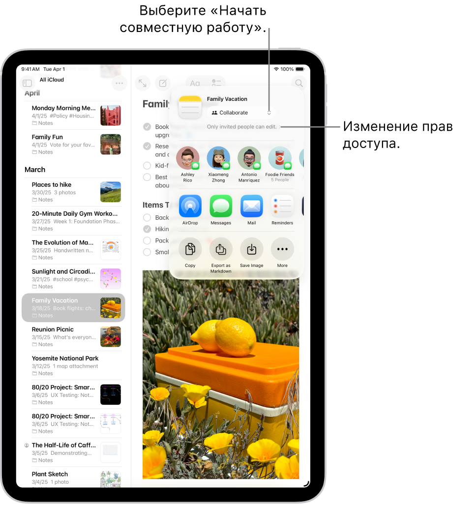 Приглашение к совместной работе над контрольным списком в Заметках. Показаны вариант отправки «Совместная работа» и настройка прав доступа «Редактировать могут только приглашенные участники». Ниже показан ряд из четырех возможных получателей, в том числе группа. В следующем ряду представлены несколько вариантов для отправки заметки: AirDrop, Сообщения, Почта и Напоминания. В последнем ряду доступны кнопки для копирования, экспорта и сохранения заметки.