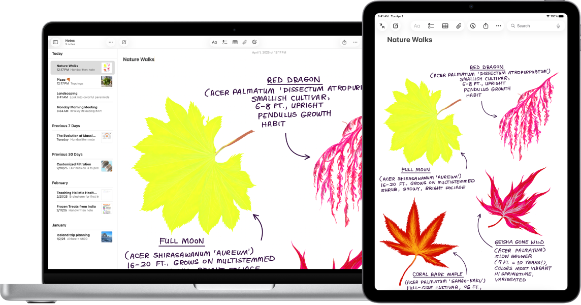 iPad, ki prikazuje skico, poleg Maca, kjer se skica pojavi v opombi.