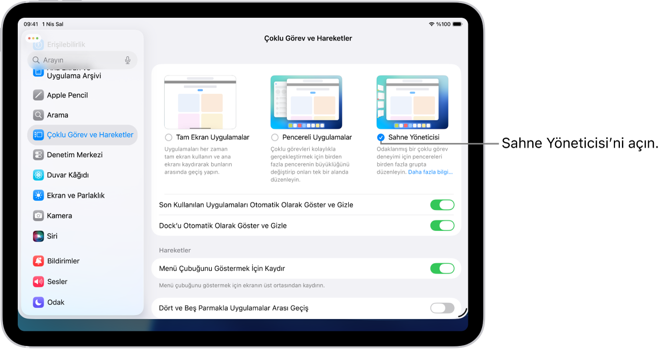 iPad Ayarlar uygulaması, birden fazla uygulamada çalışmak için seçebileceğiniz Çoklu Görev ve Hareketler seçeneklerini gösterir.