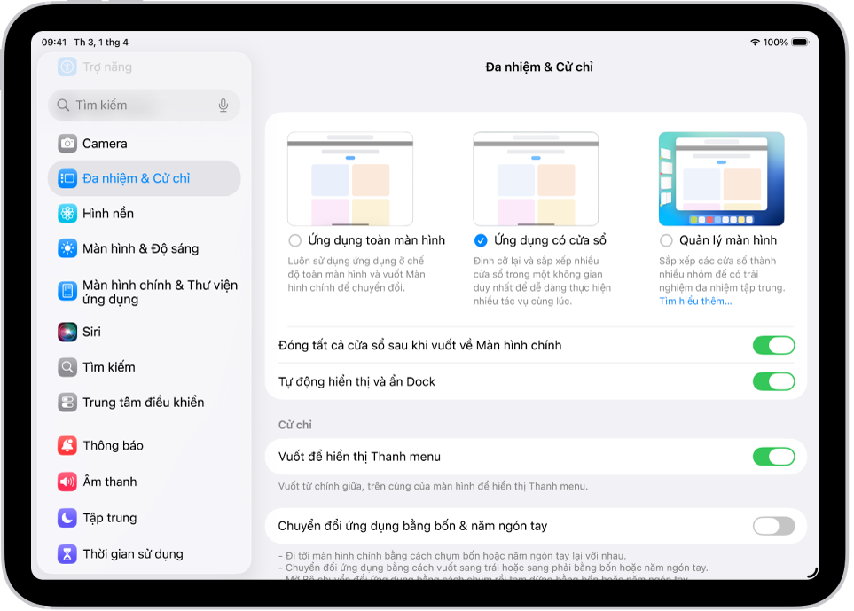 Một cửa sổ iPad đang hiển thị cài đặt Đa nhiệm & Cử chỉ.
