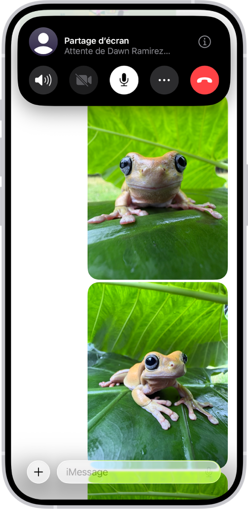 Une demande de partage d’écran dans Messages en attente.