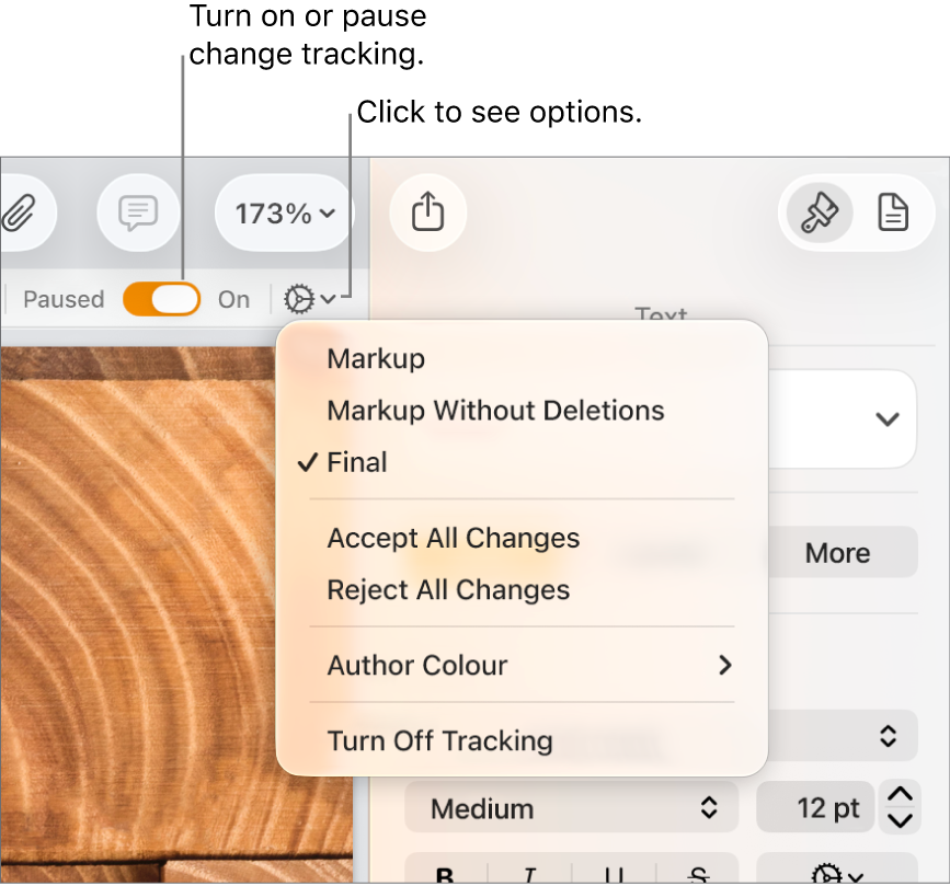 The tracking options menu showing Turn off Tracking at the bottom and callouts to the Tracking On and Paused button.