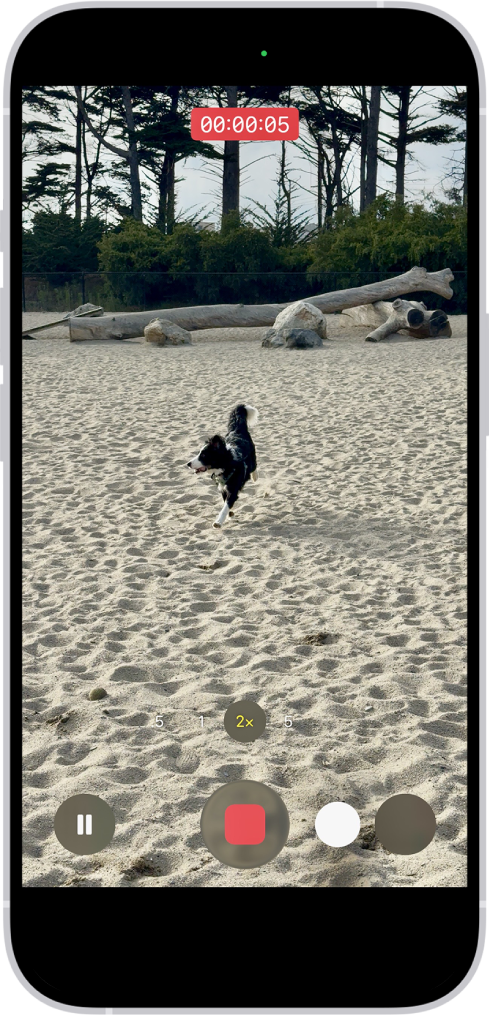 The camera frame fills the screen. At the bottom of the screen, the Shutter button moves to the right, demonstrating the movement of recording hands-free.