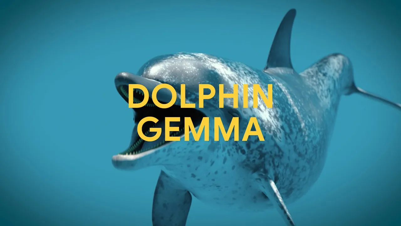 DolphinGemma explainer video
