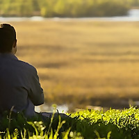 Musings of a Common Man