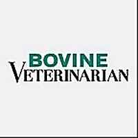Bovine Veterinarian