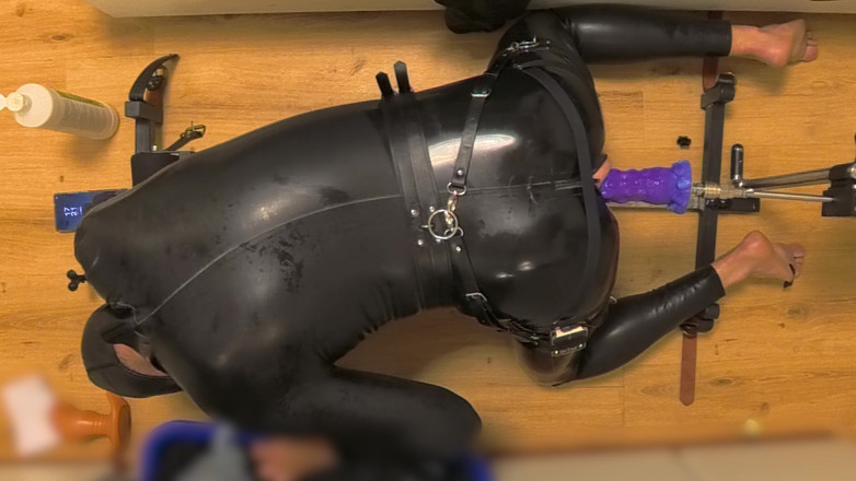 Chastitybeltboy: Látex castidad jaula mariquita en máquina de sexo picota, consolador...