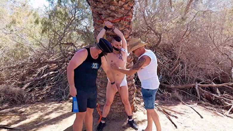 Master Drex: In shade of palm tree