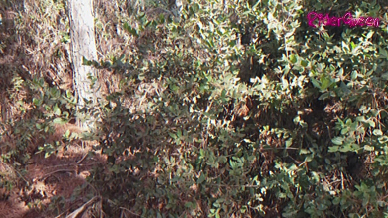 Riderqueen: Walking Forest - Video for Fans with Slowmotion
