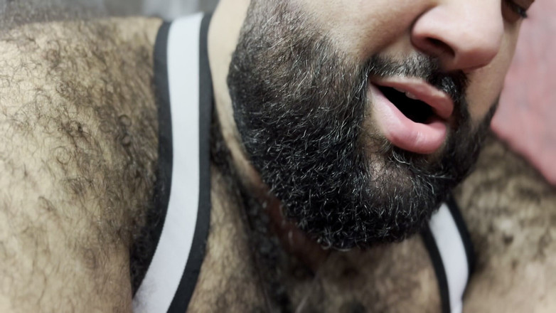 ScruffyStocky: Шаловливые медведи в Прямой кишке