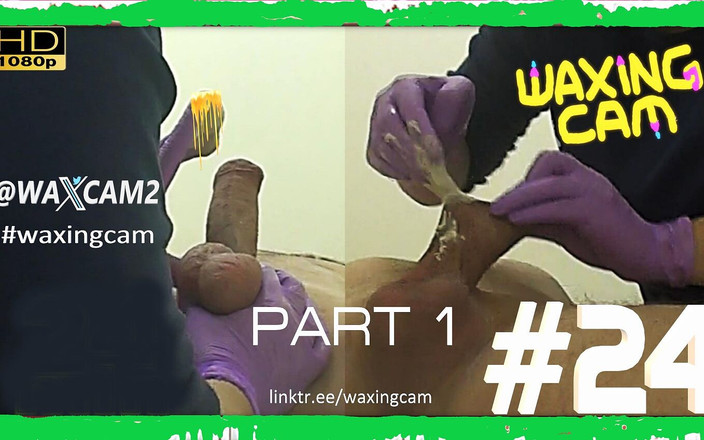 WaxingCam: #24 часть 1 сахарохивание самца